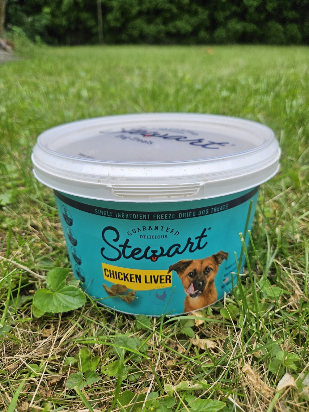 Freeze-Dried Chicken Liver Dog Treats — New & Unopened
